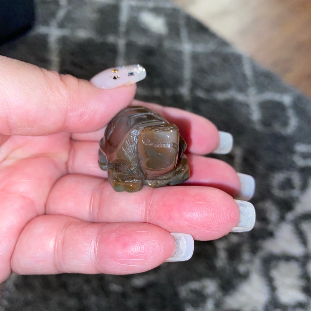 Crystal turtles - Picture 4 of 16